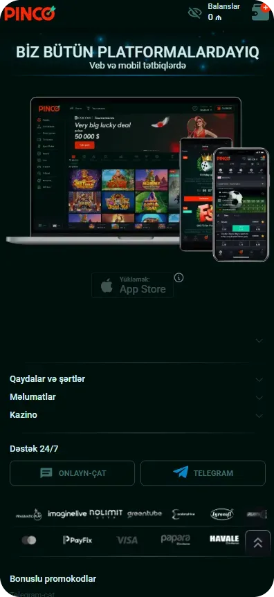 Pinco Casino APK yüklə