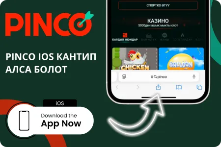 Pinco Bet App