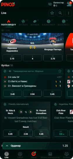 Pinco Bet