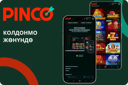 Pinco тиркемеси жөнүндө маалымат