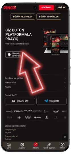 Pinco AZ Yüklə